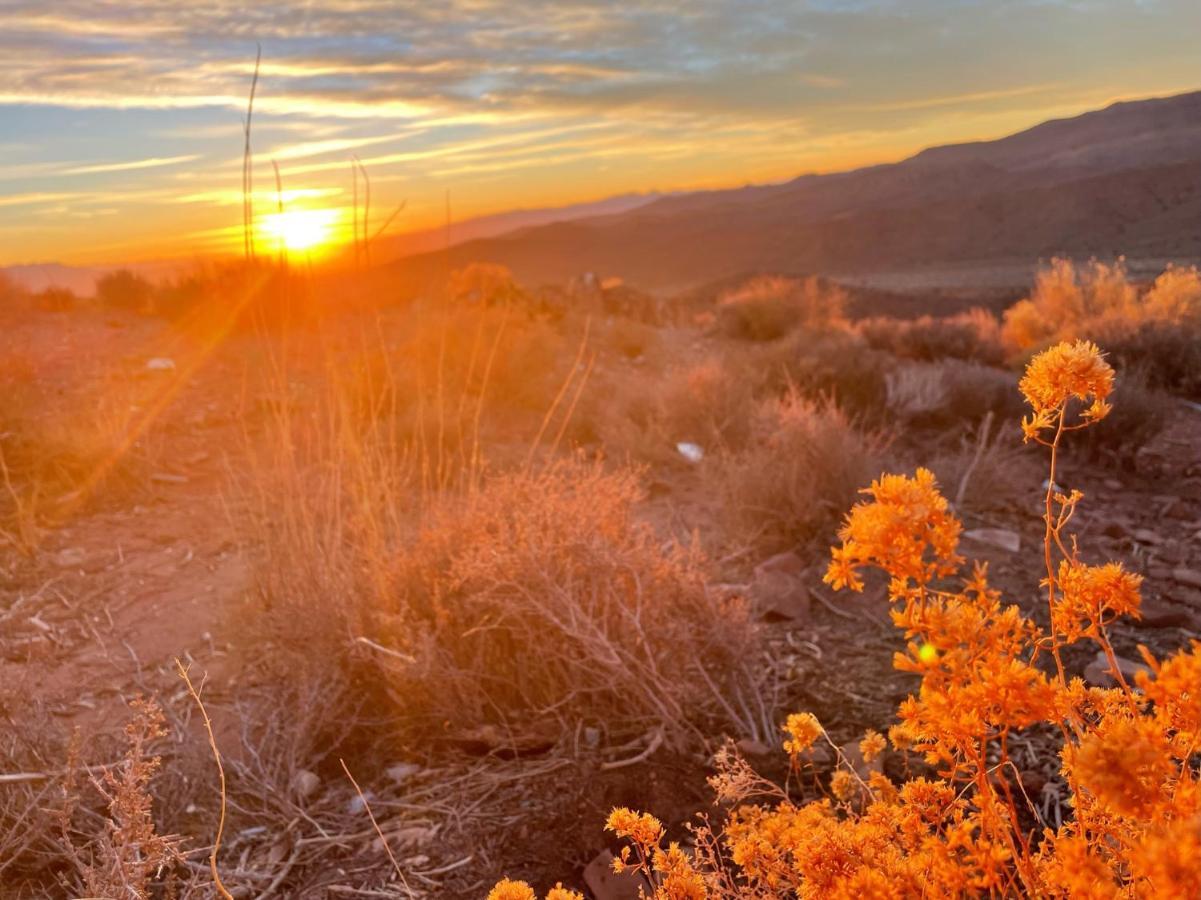 Sage Desert Dreams جبل تشارلستون المظهر الخارجي الصورة